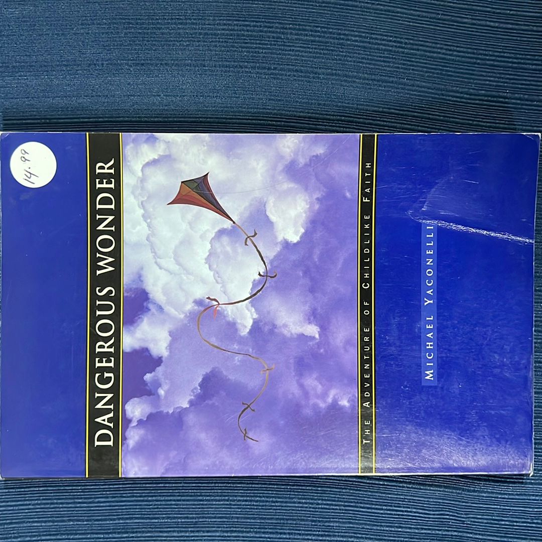 Dangerous Wonder