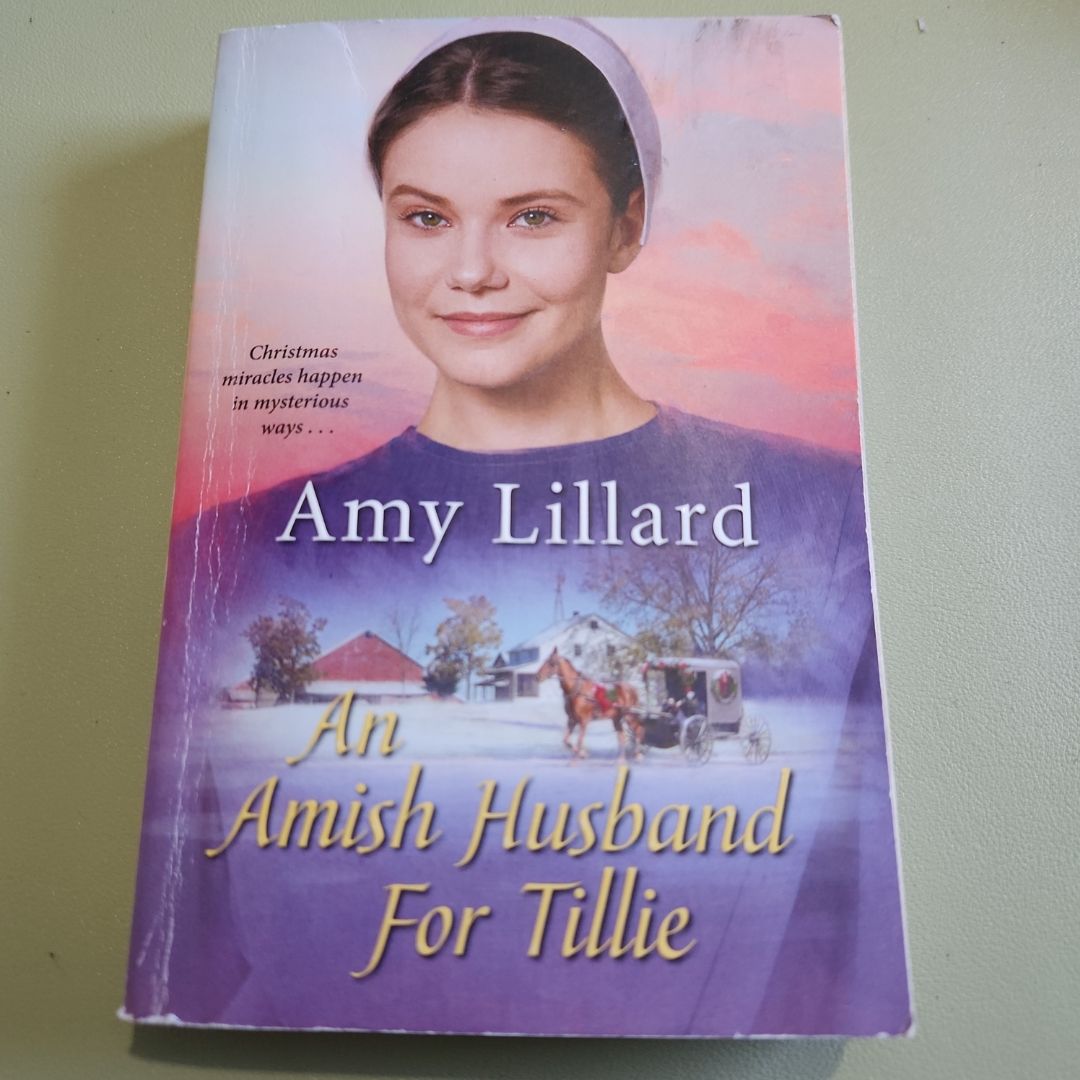 An Amish Husband for Tillie