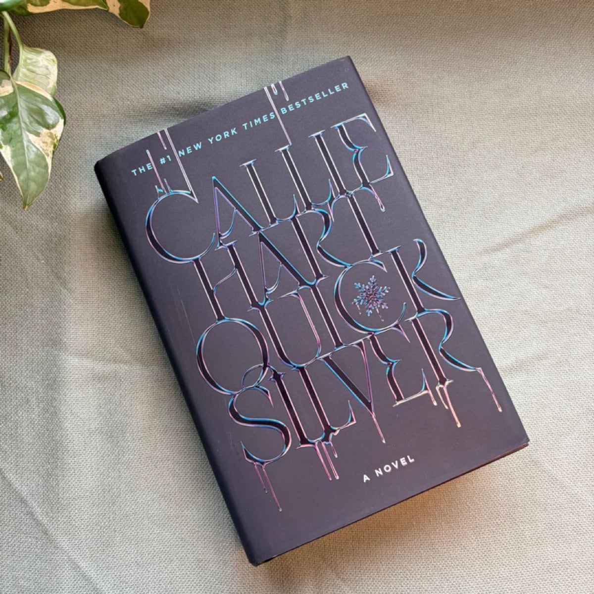 Quicksilver (Deluxe Limited Edition) by Callie | PangoBooks
