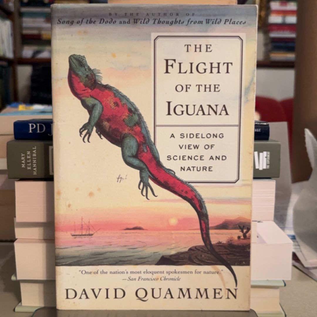 The Flight of the Iguana