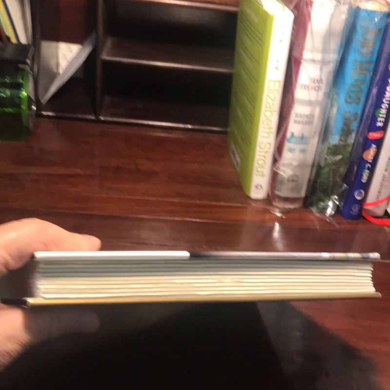 1st ed./6th printing * Palestine Peace Not Apartheid