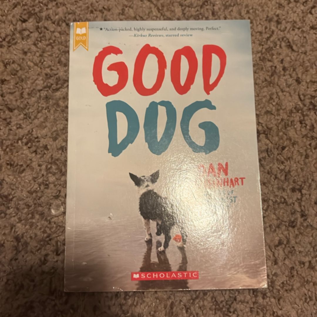 Good Dog (Scholastic Gold)