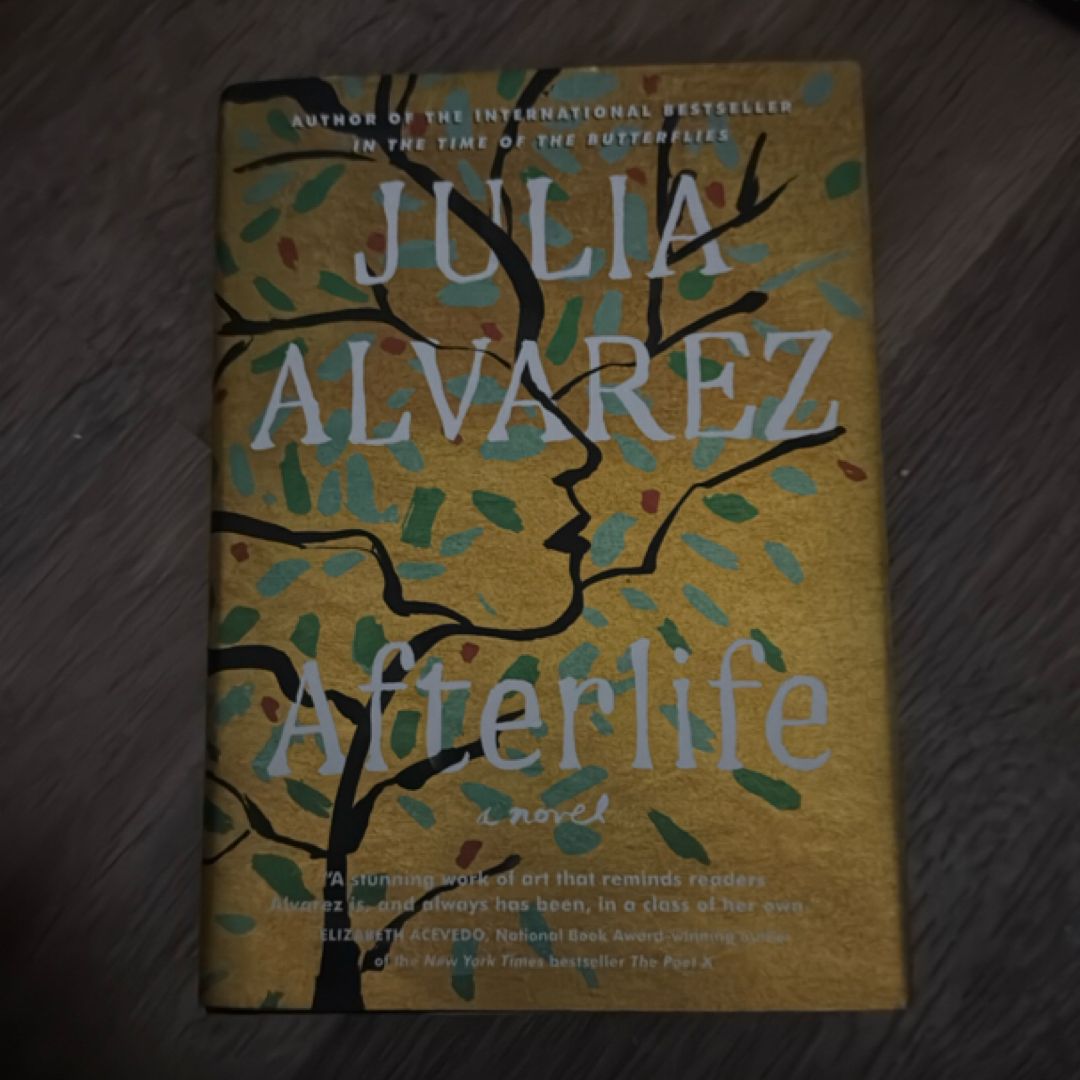 Afterlife