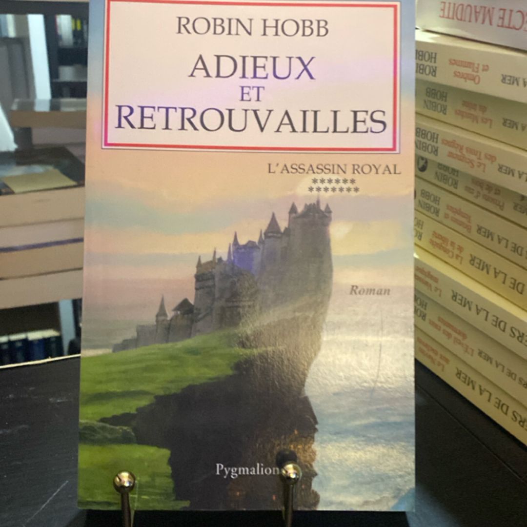 Adieux et retrouvailles : roman