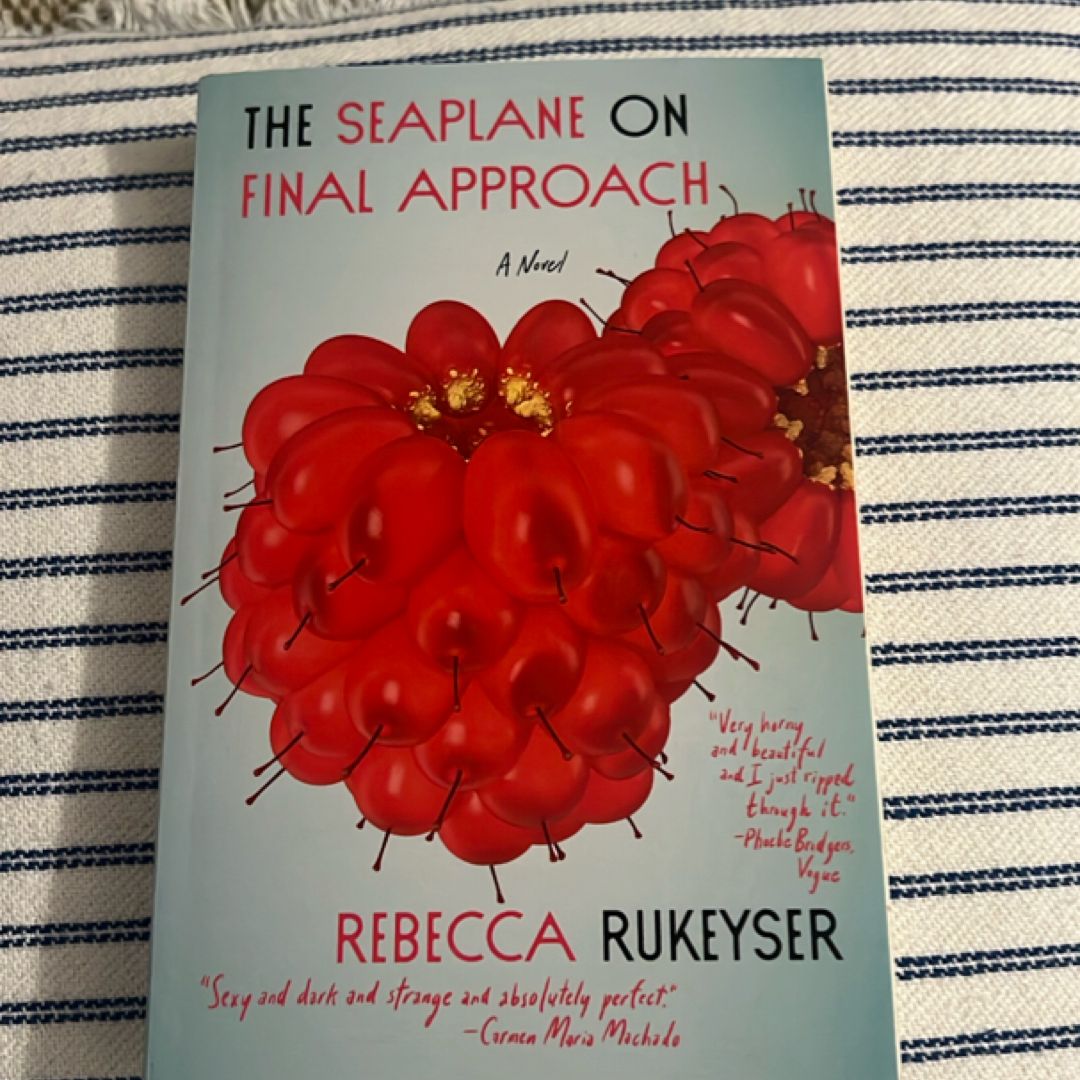 The Seaplane on Final Approach