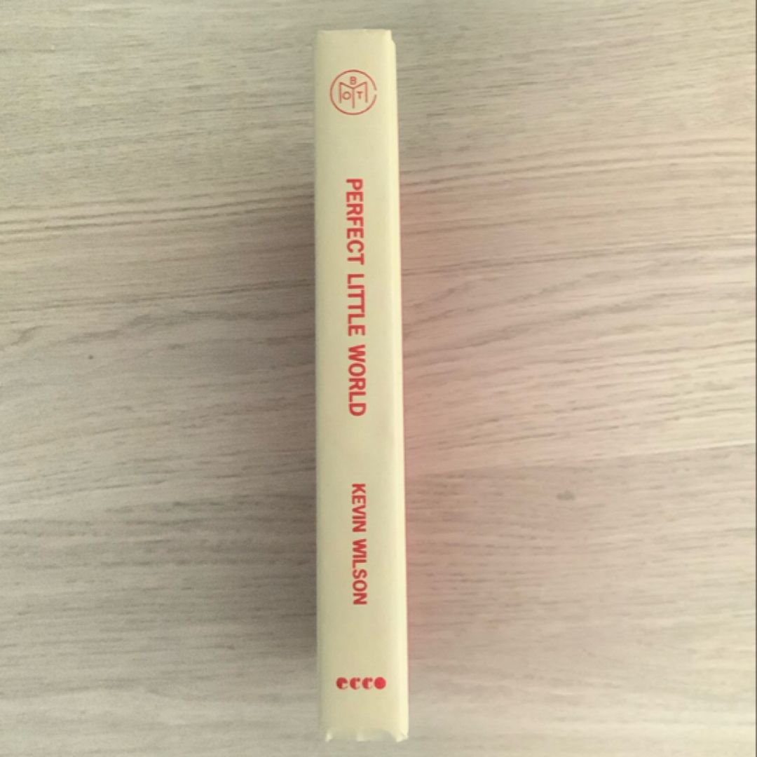 Perfect Little World