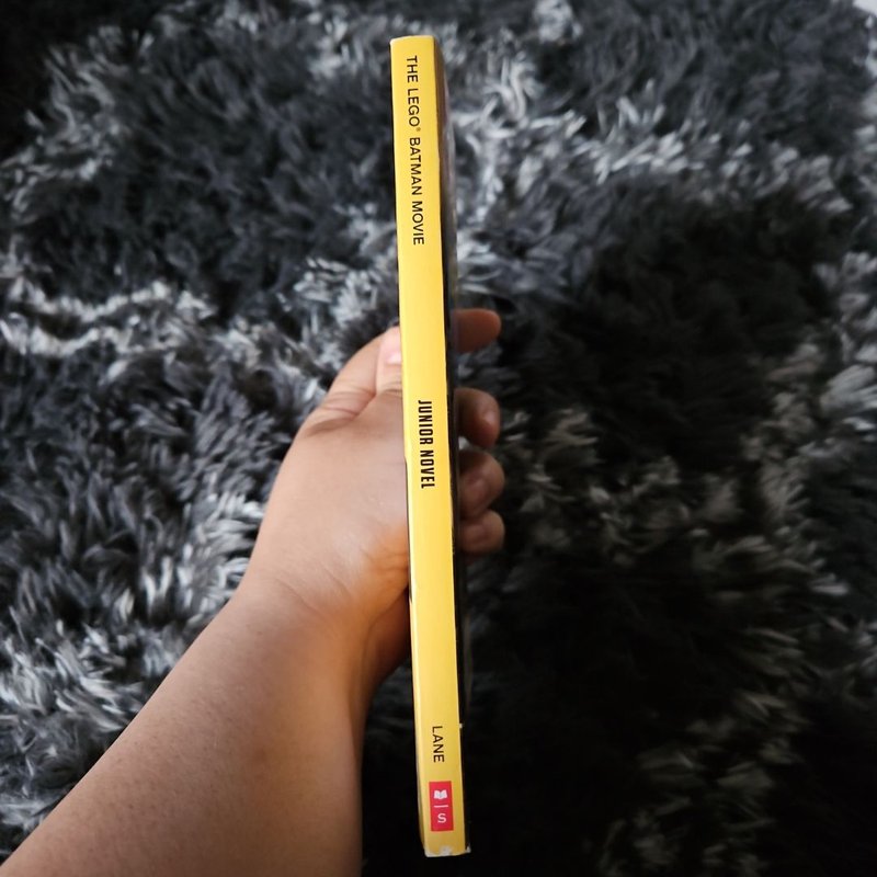 Lego Batman Junior Novel