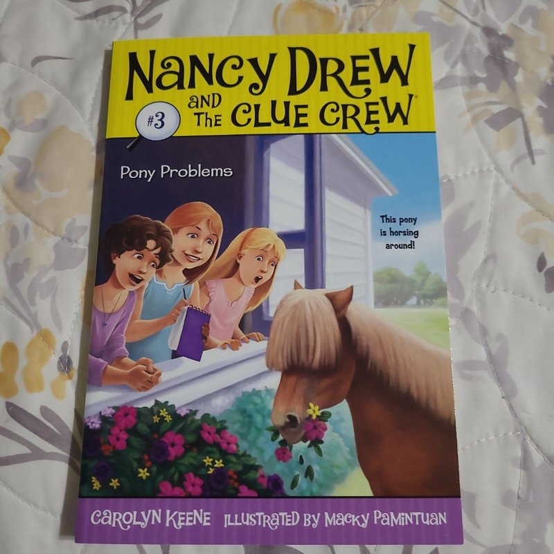 Nancy Drew and the Clue Crew #3 Pony Problems by Carolyn Keene ...
