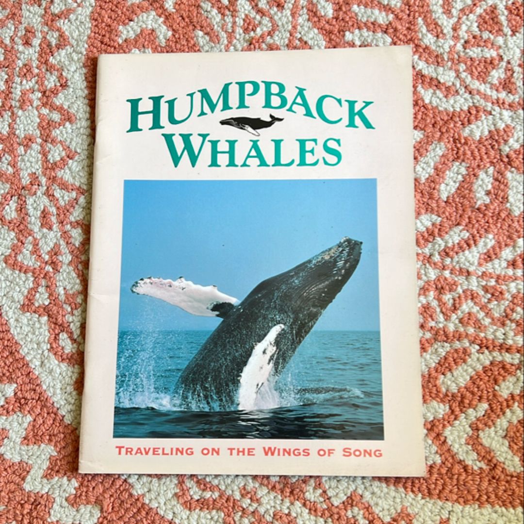 Humpback Whales
