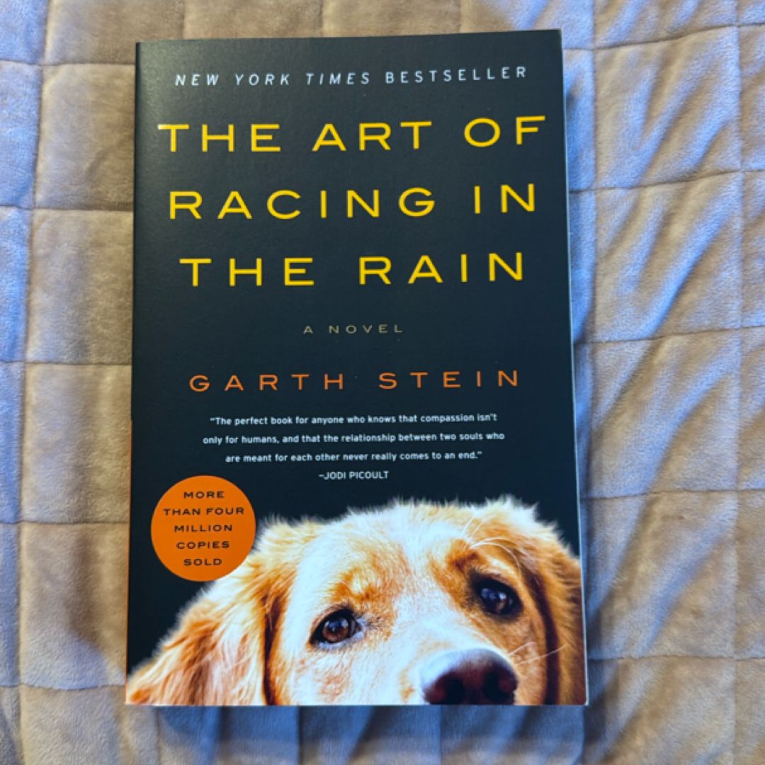The Art of Racing in the Rain