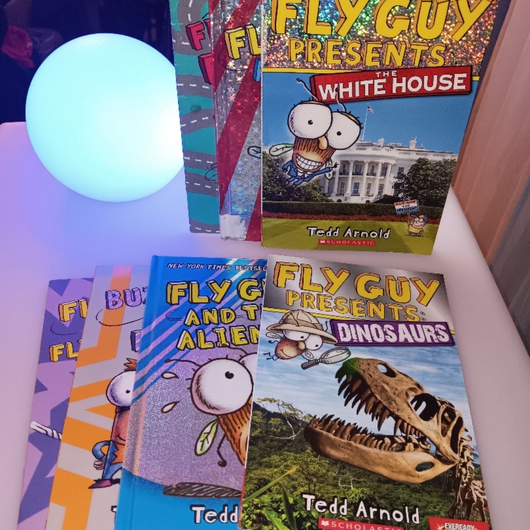 Bundle of 7 Fly Guy Books