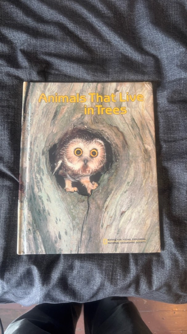Animals That Live in Trees