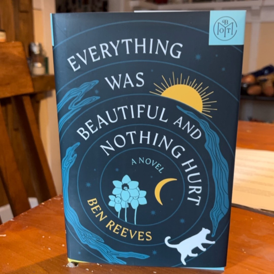 Everything Was Beautiful and Nothing Hurt