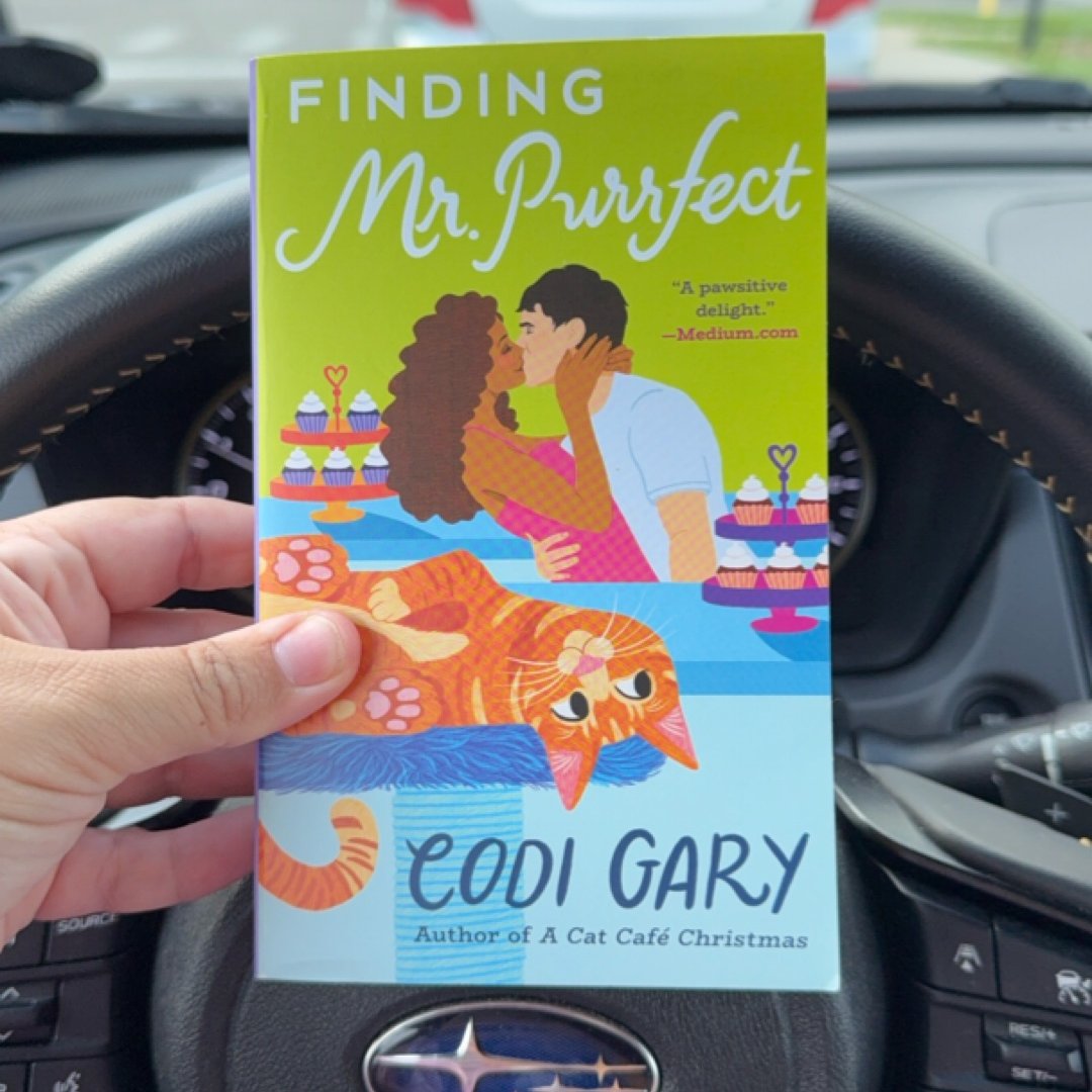 Finding Mr. Purrfect