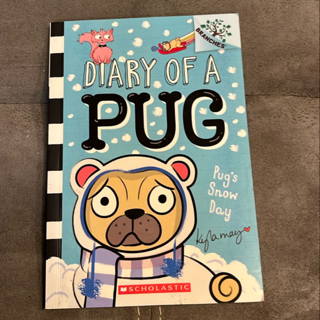 Pug's Snow Day