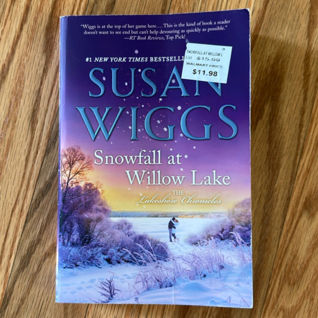 Snowfall at Willow Lake