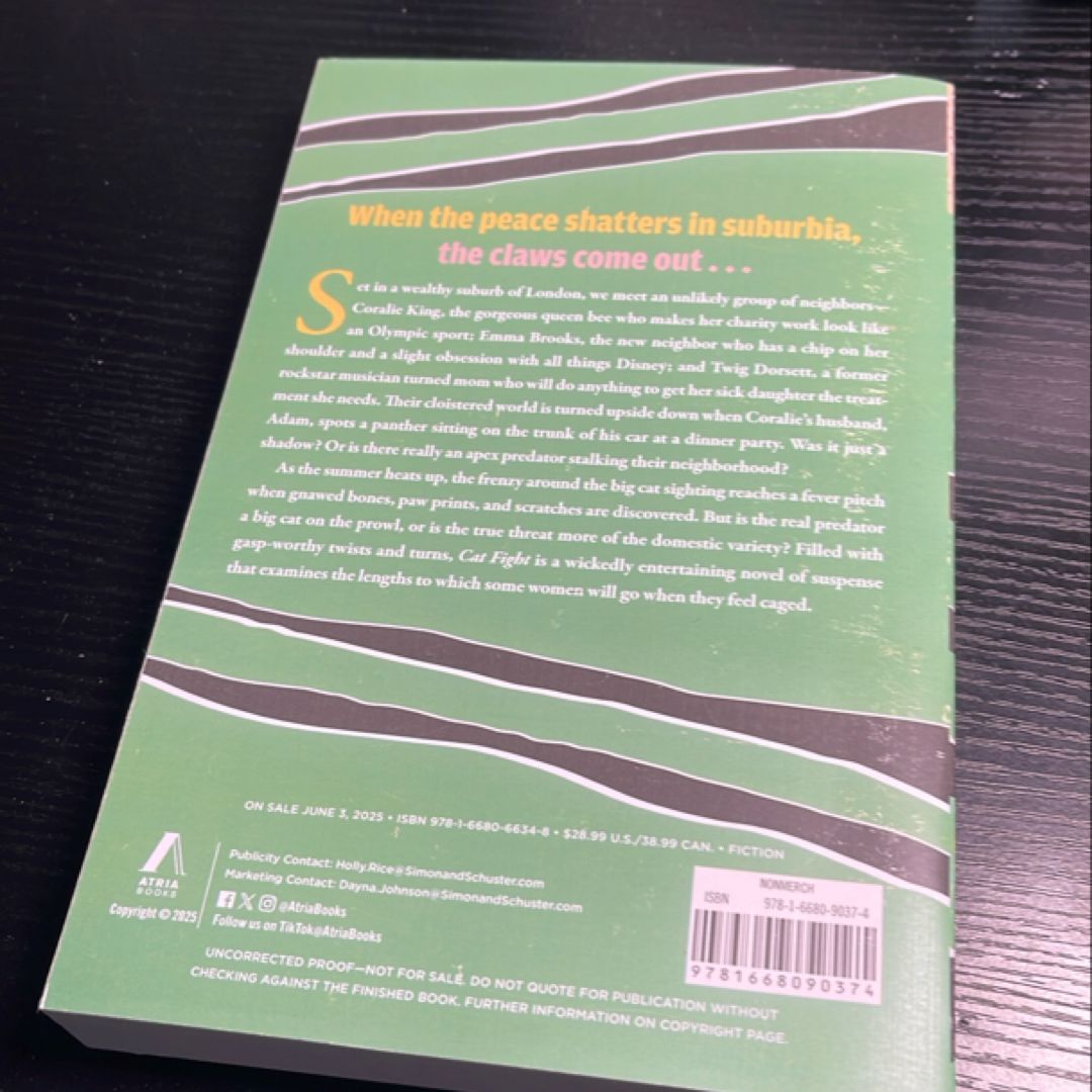 Cat Fight