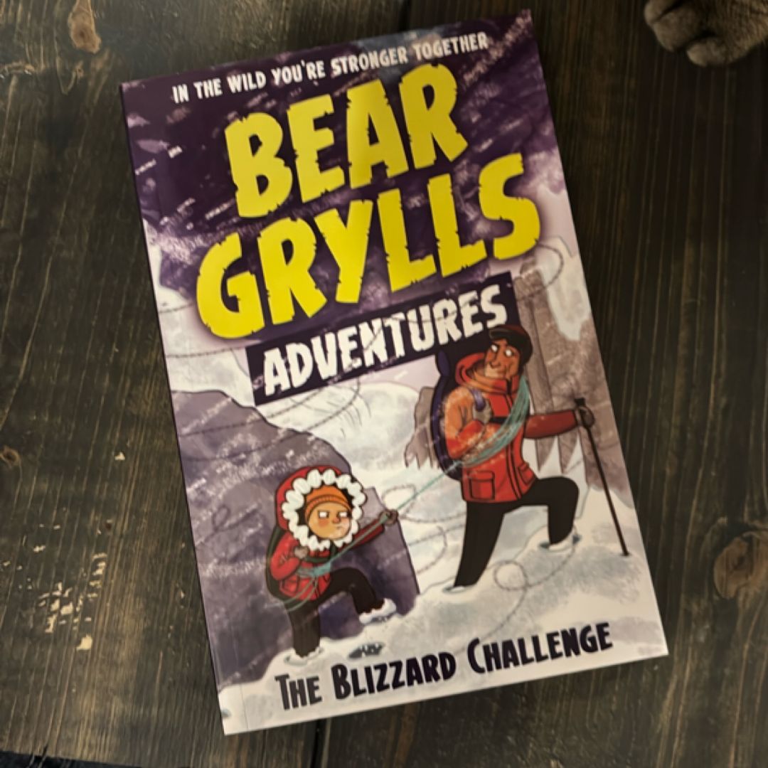The Blizzard Challenge