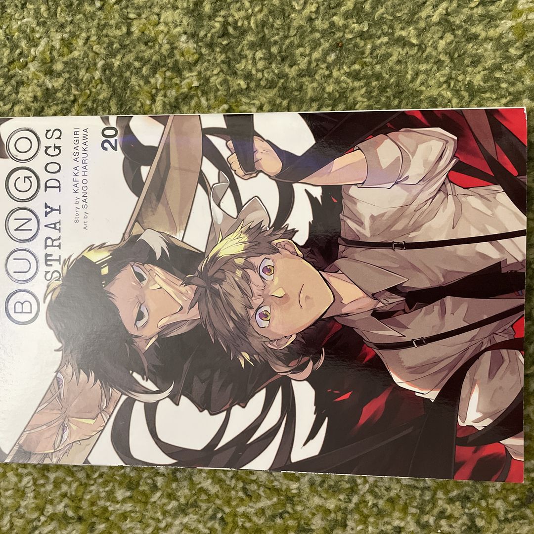 Bungo Stray Dogs, Vol. 20