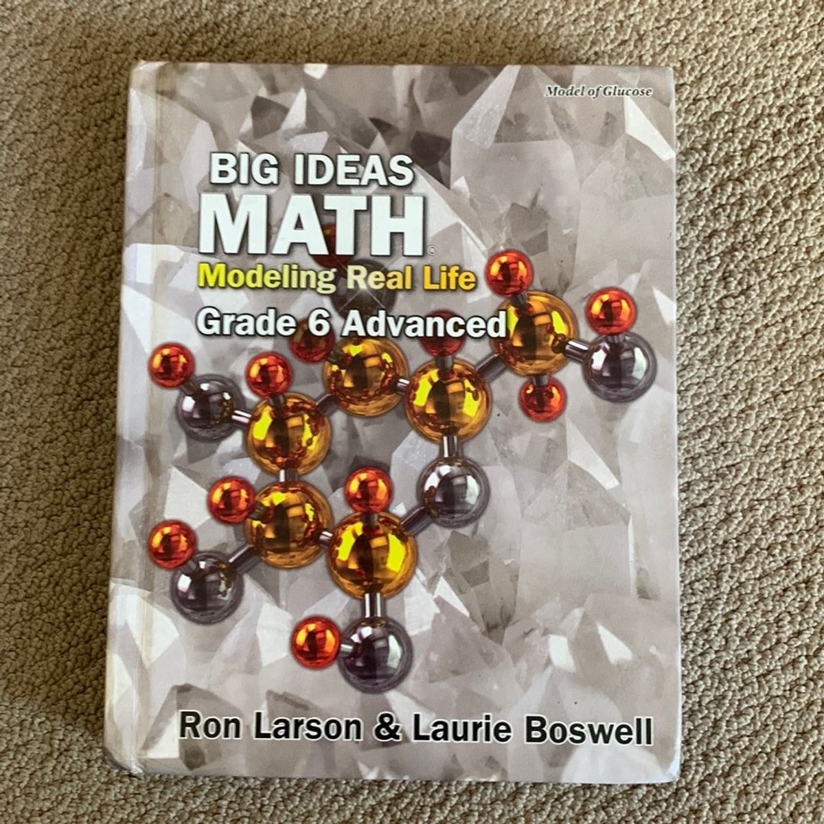 Big Ideas Math: Modeling Real Life - Grade 6 Advanced Student Edition ...
