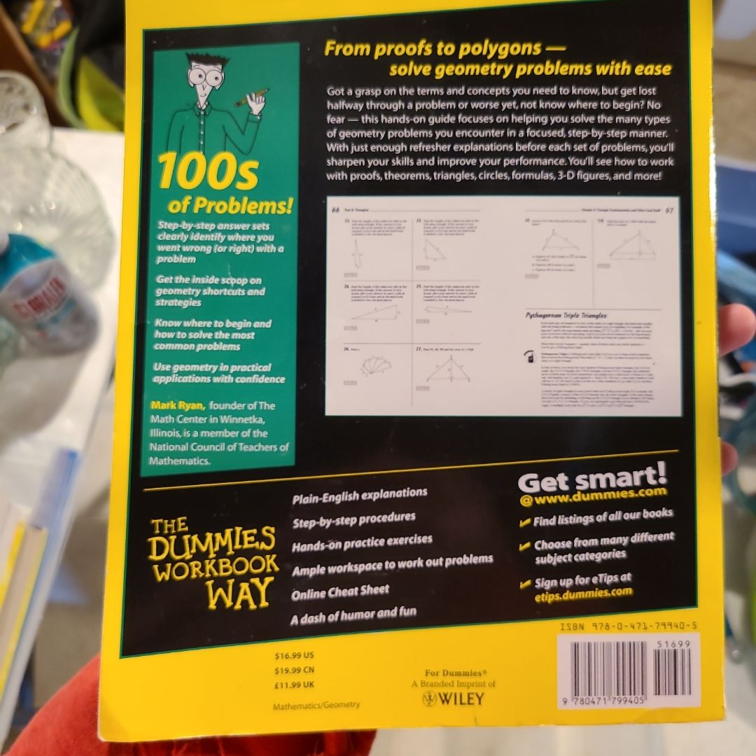 Geometry Workbook for Dummies by Mark Ryan, Paperback | Pangobooks