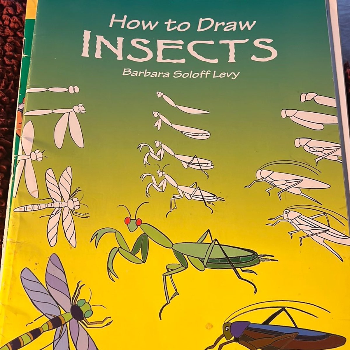 How to Draw Insects by Barbara Soloff Levy