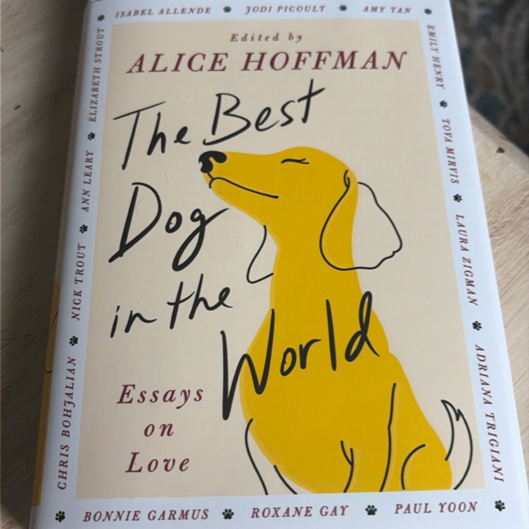 The Best Dog in the World