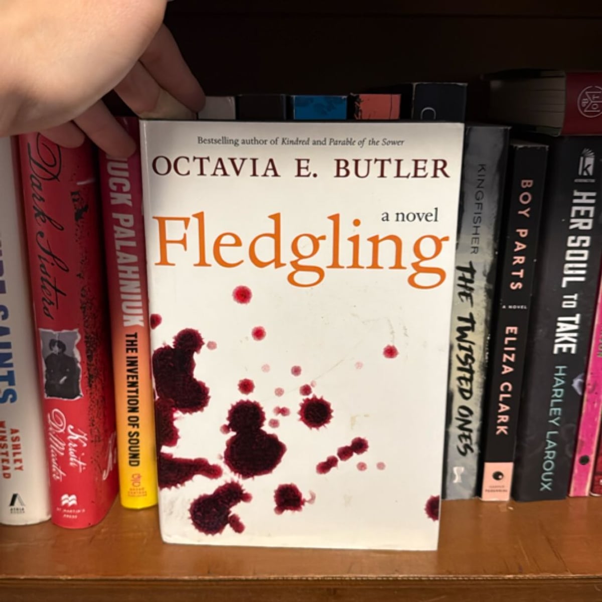 Fledgling by Octavia E. Butler, Hardcover | Pangobooks