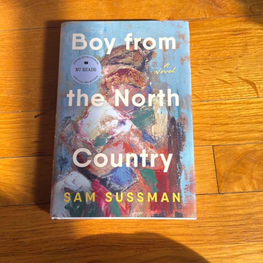 Boy from the North Country