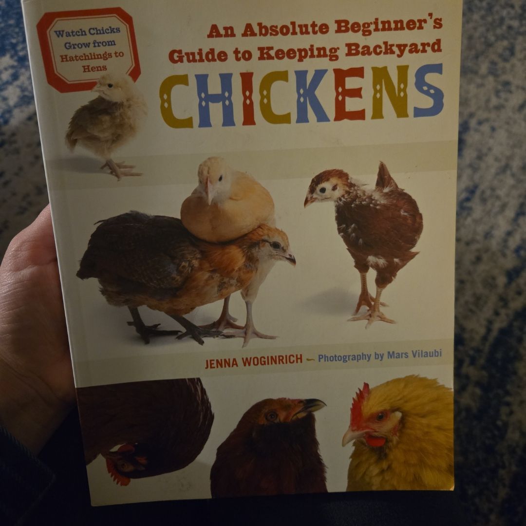 An Absolute Beginner's Guide to Keeping Backyard Chickens