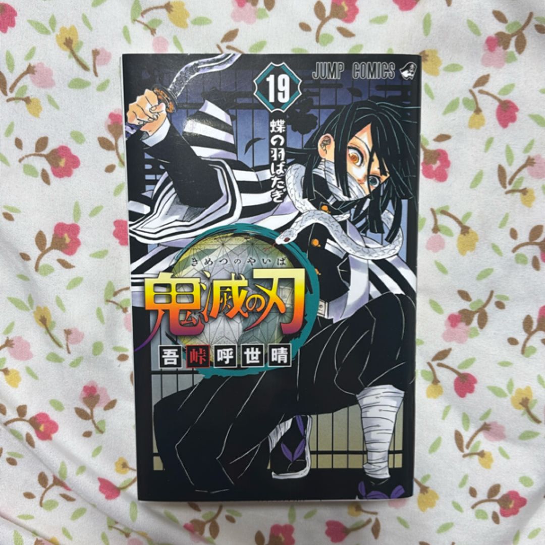 Kimetsu no Yaiba Vol. 19 (Japanese edition) 