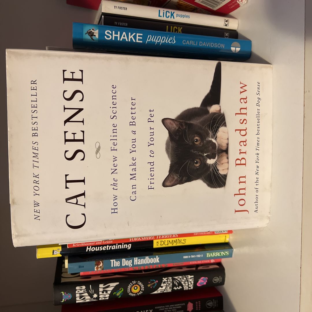 Cat Sense
