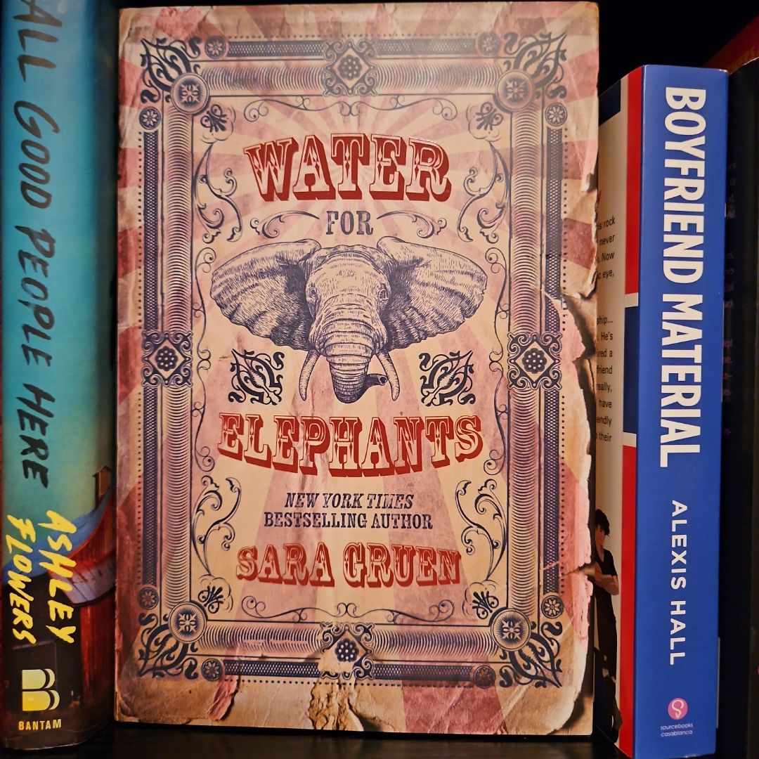 Sale image for 5681b461-3f56-40bc-a64d-a0f592cee196-R1DHnIPdH9TH9Zo0QtP8UhyVBrp2