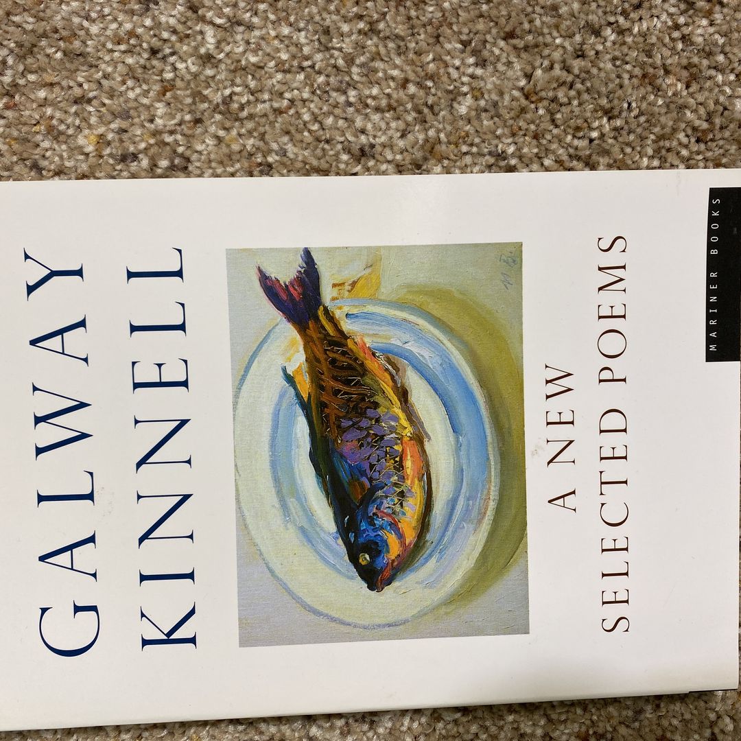 A New Selected Poems