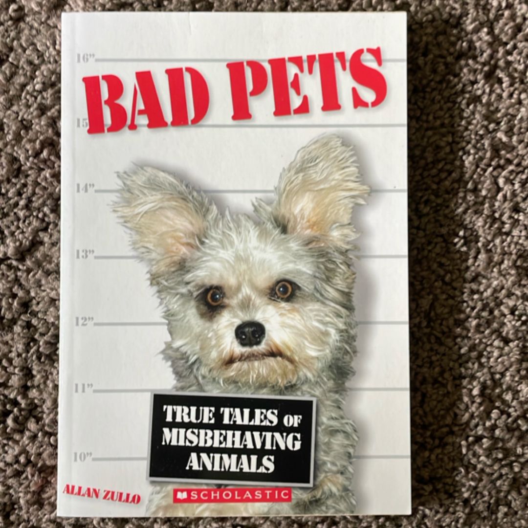 Bad Pets