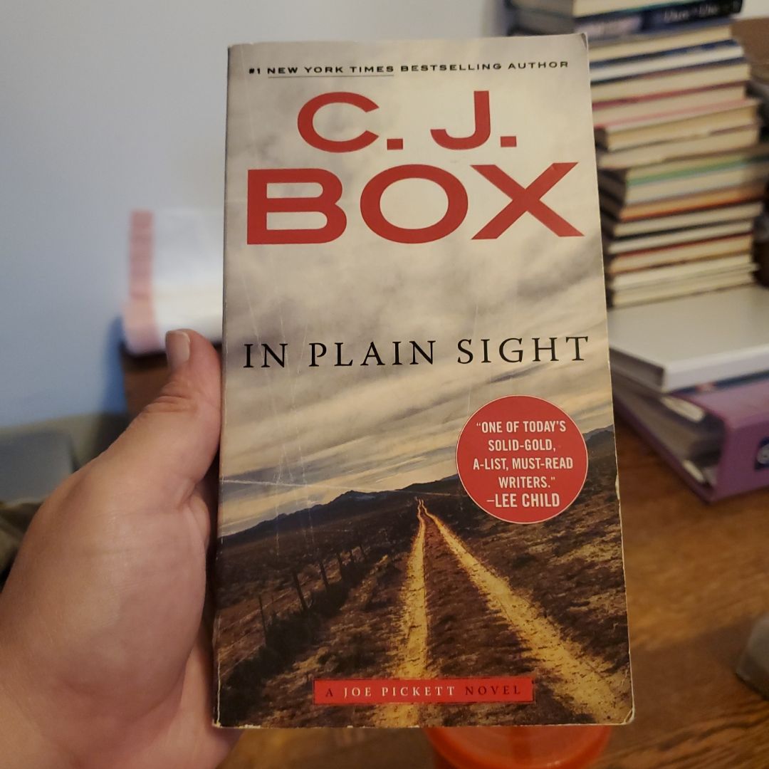In Plain Sight