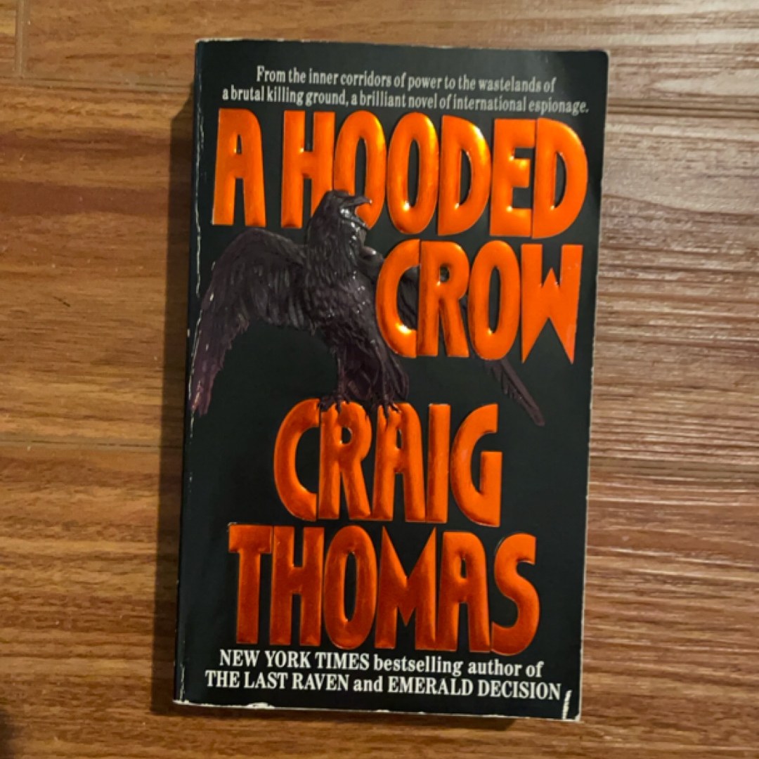 A Hooded Crow