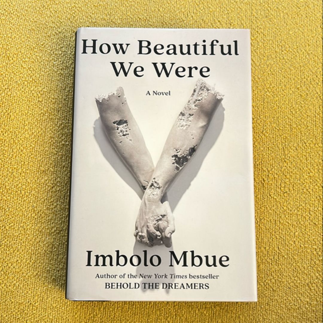 How Beautiful We Were