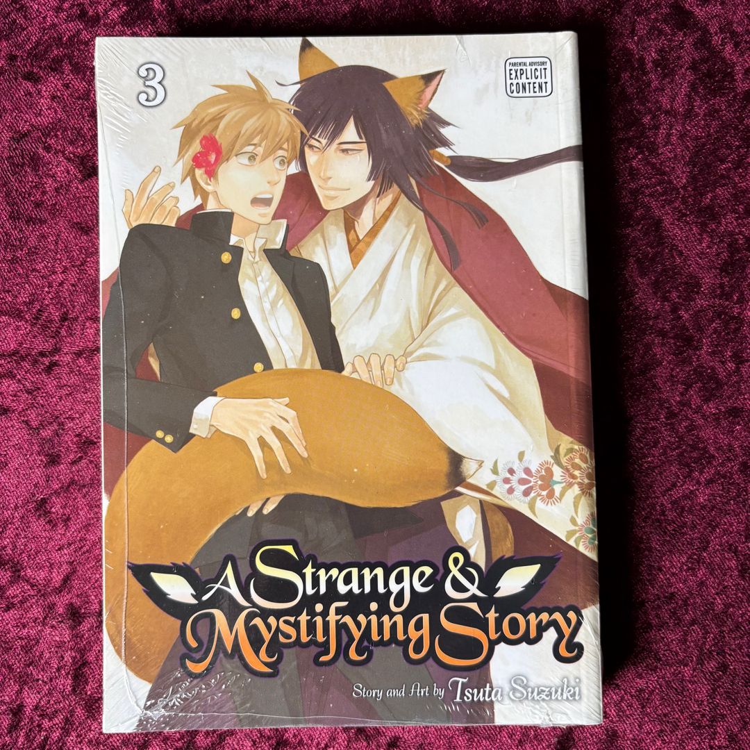 A Strange and Mystifying Story, Vol. 3