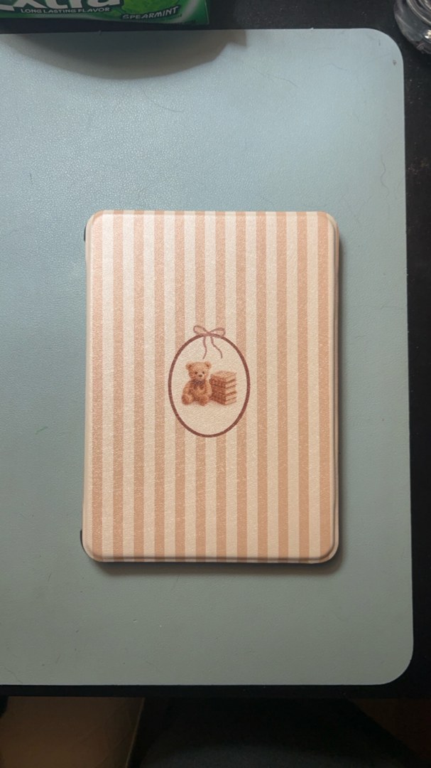 Kindle Colorsoft Case