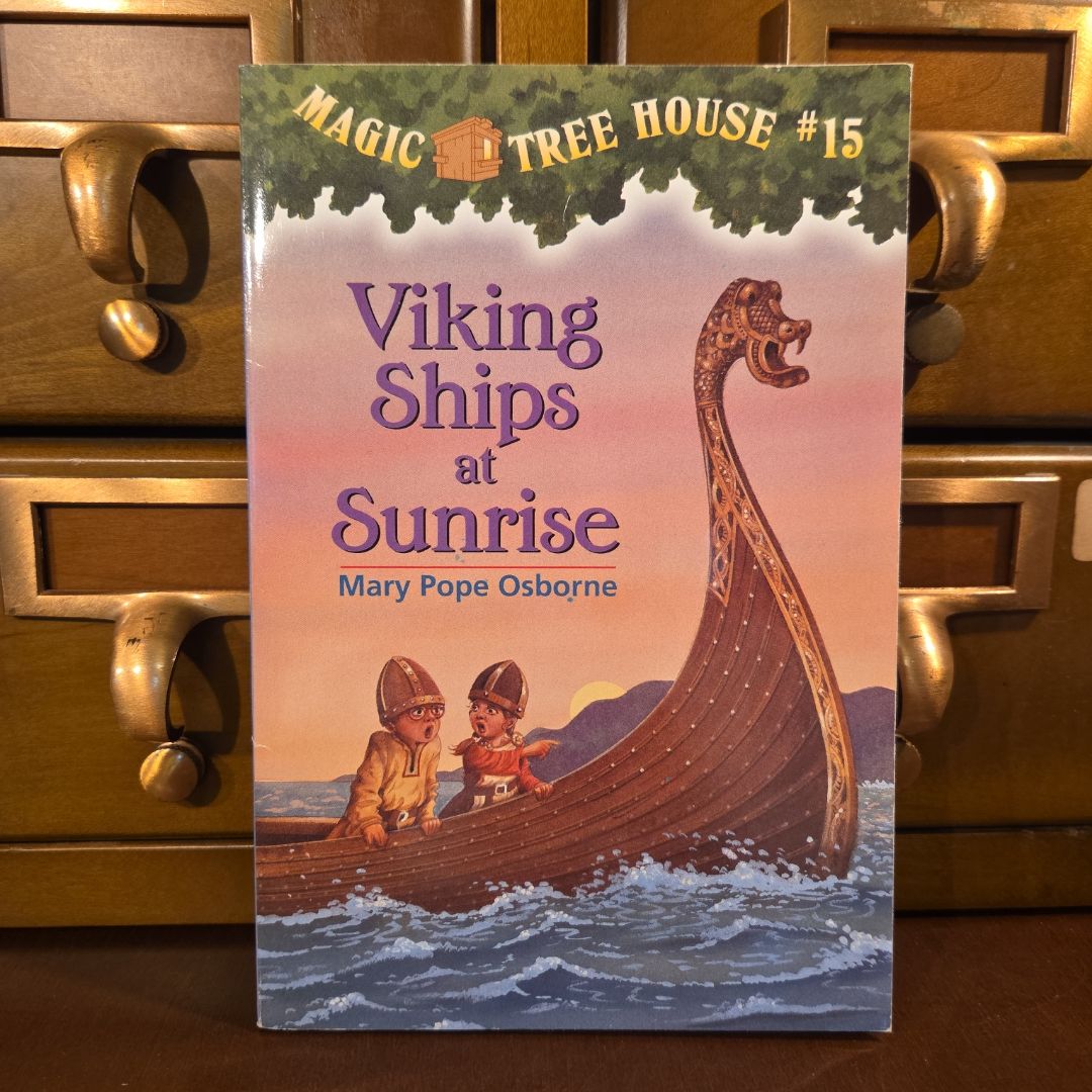 Viking Ships at Sunrise