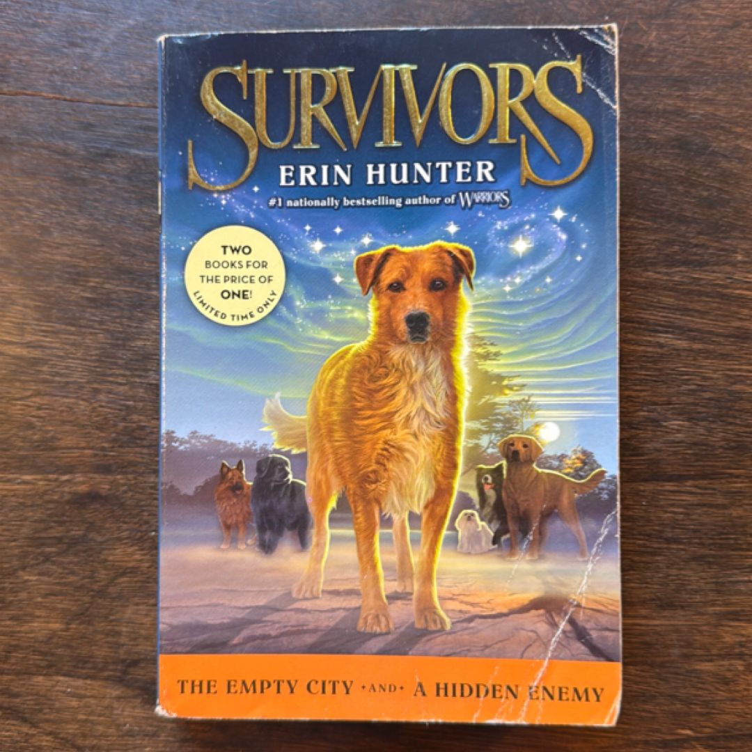 Survivors: the Empty City and a Hidden Enemy