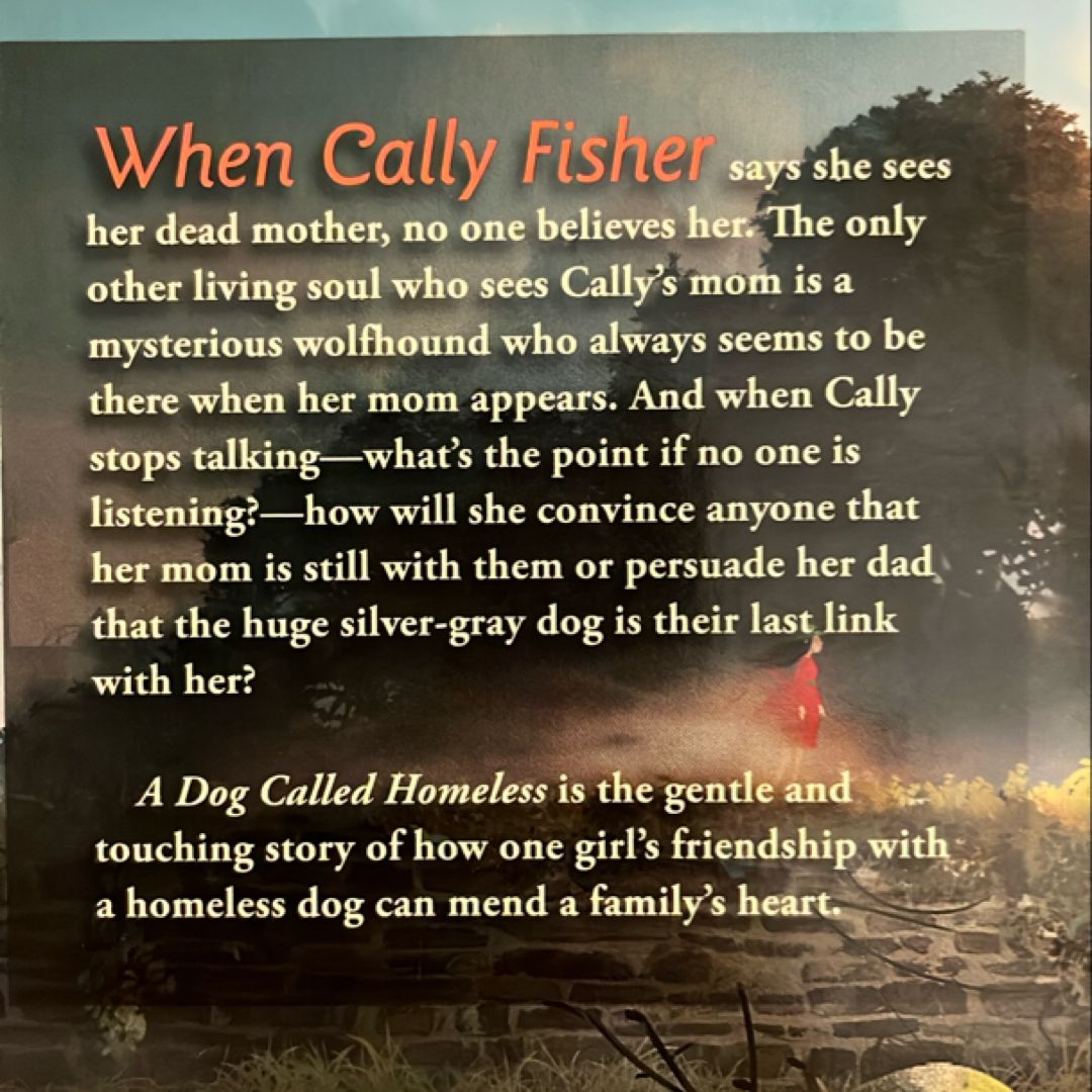A Dog Called Homeless by Sarah Lean, Paperback | Pangobooks