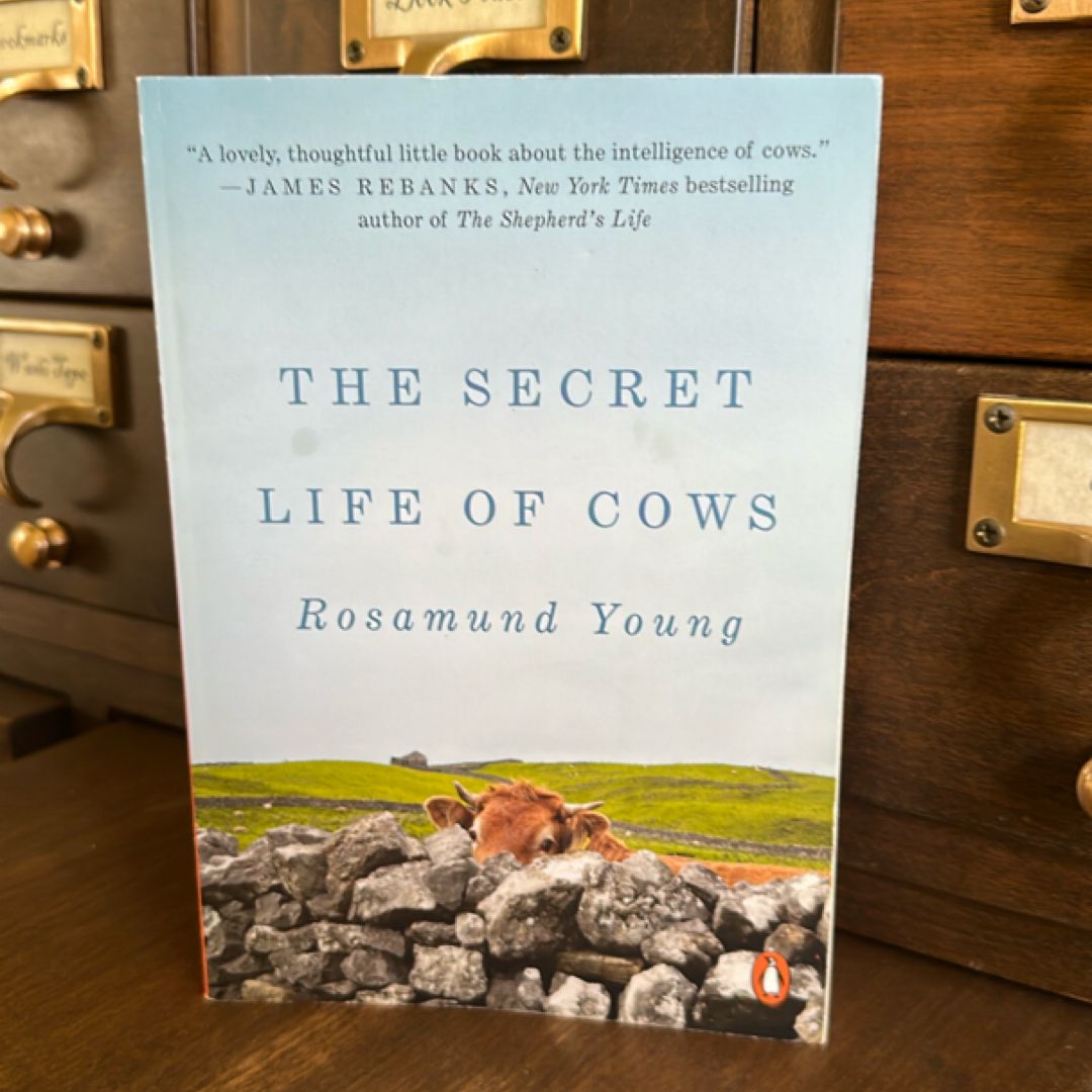 The Secret Life of Cows