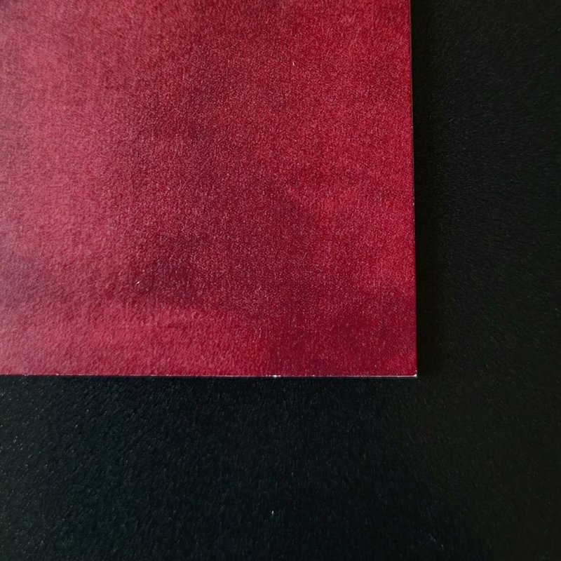 Something Is Killing The Children #16