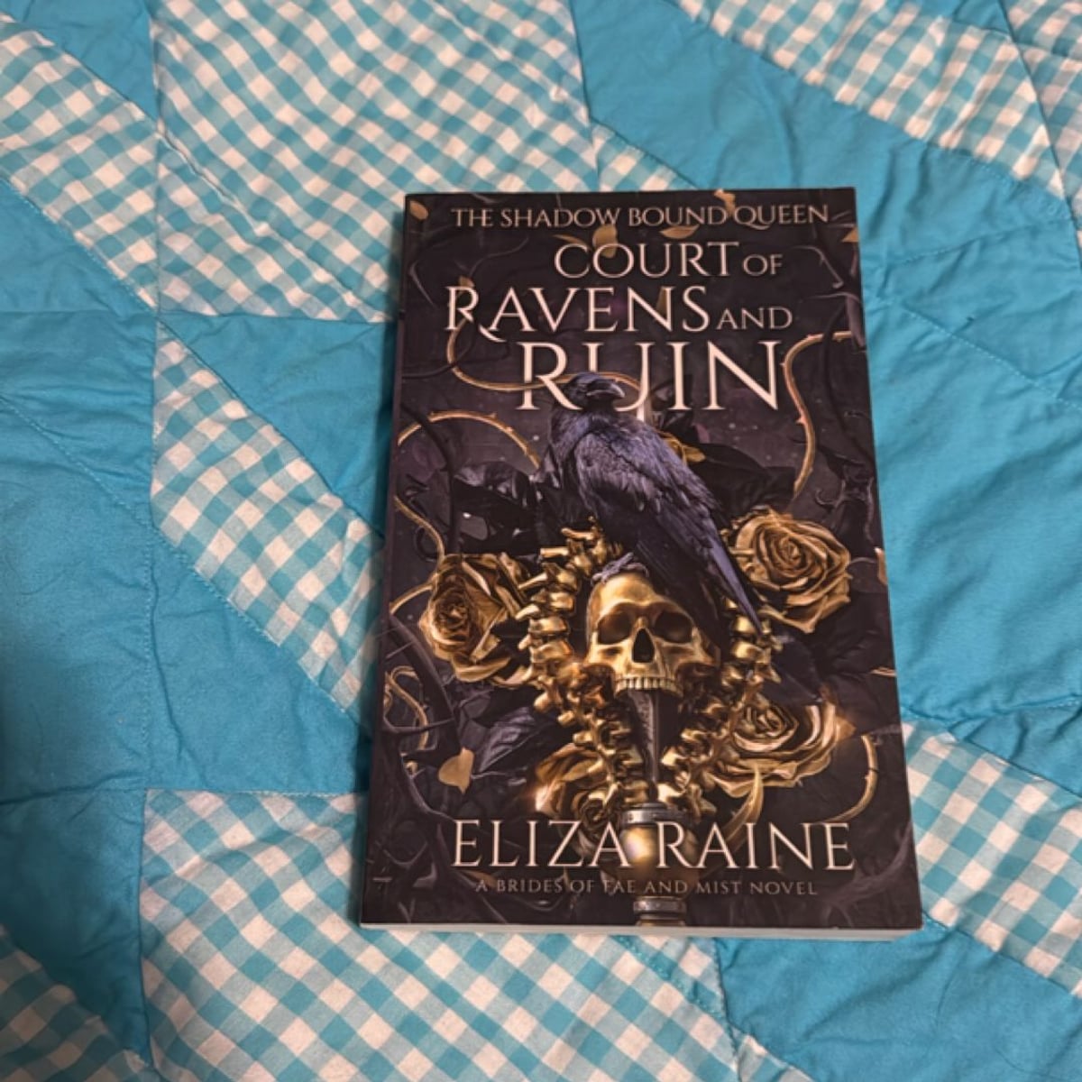 Court of Ravens and Ruin by Eliza Raine, | PangoBooks