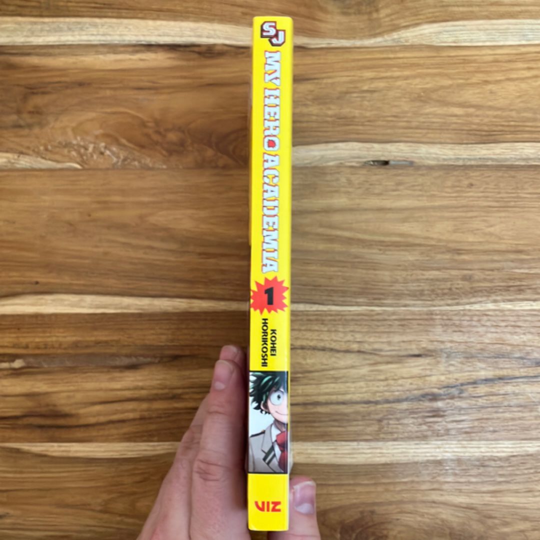My Hero Academia, Vol. 1
