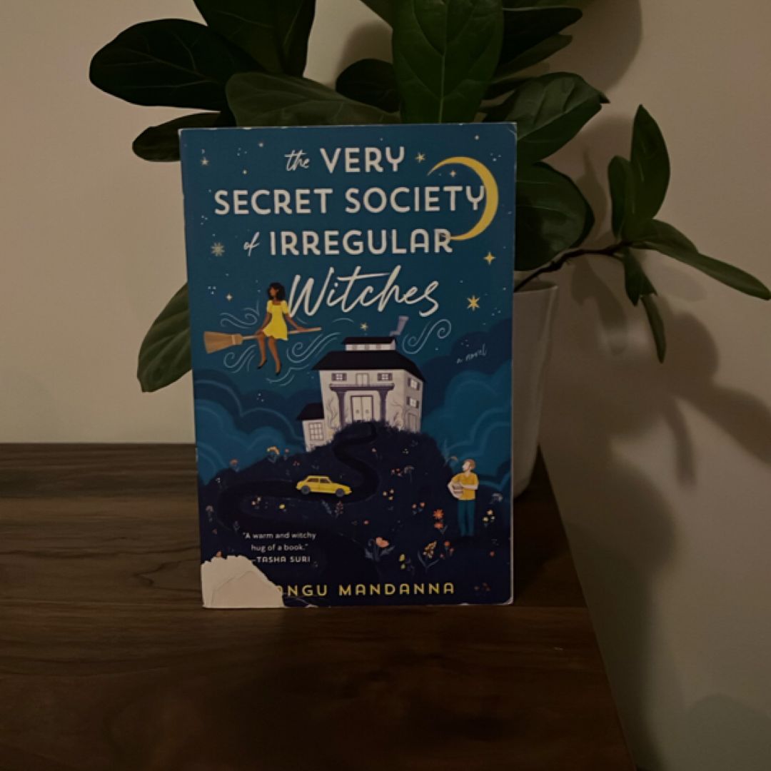 The Very Secret Society of Irregular Witches