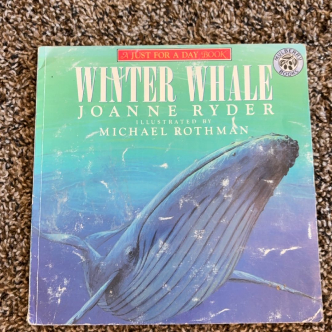 Winter Whale