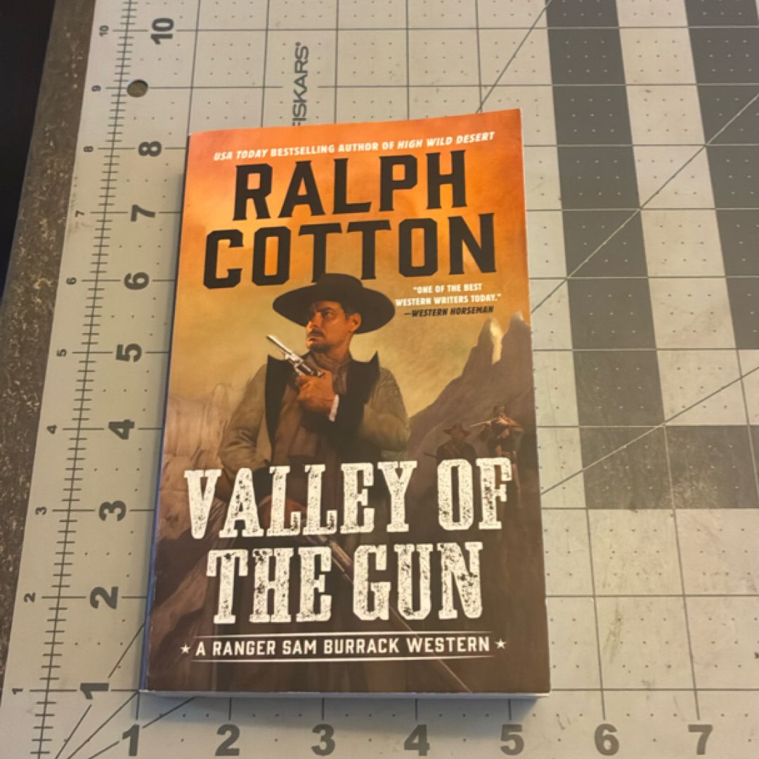 Valley of the Gun